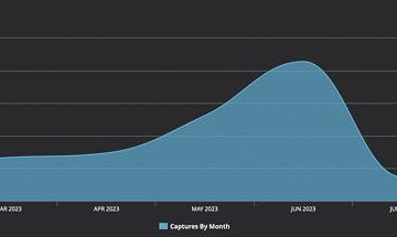 diaper usage chart